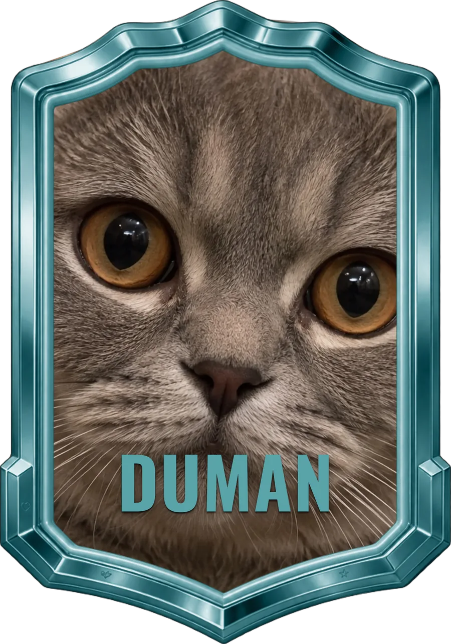Duman adlı kedi için hazırlanmış kişiye özel kart